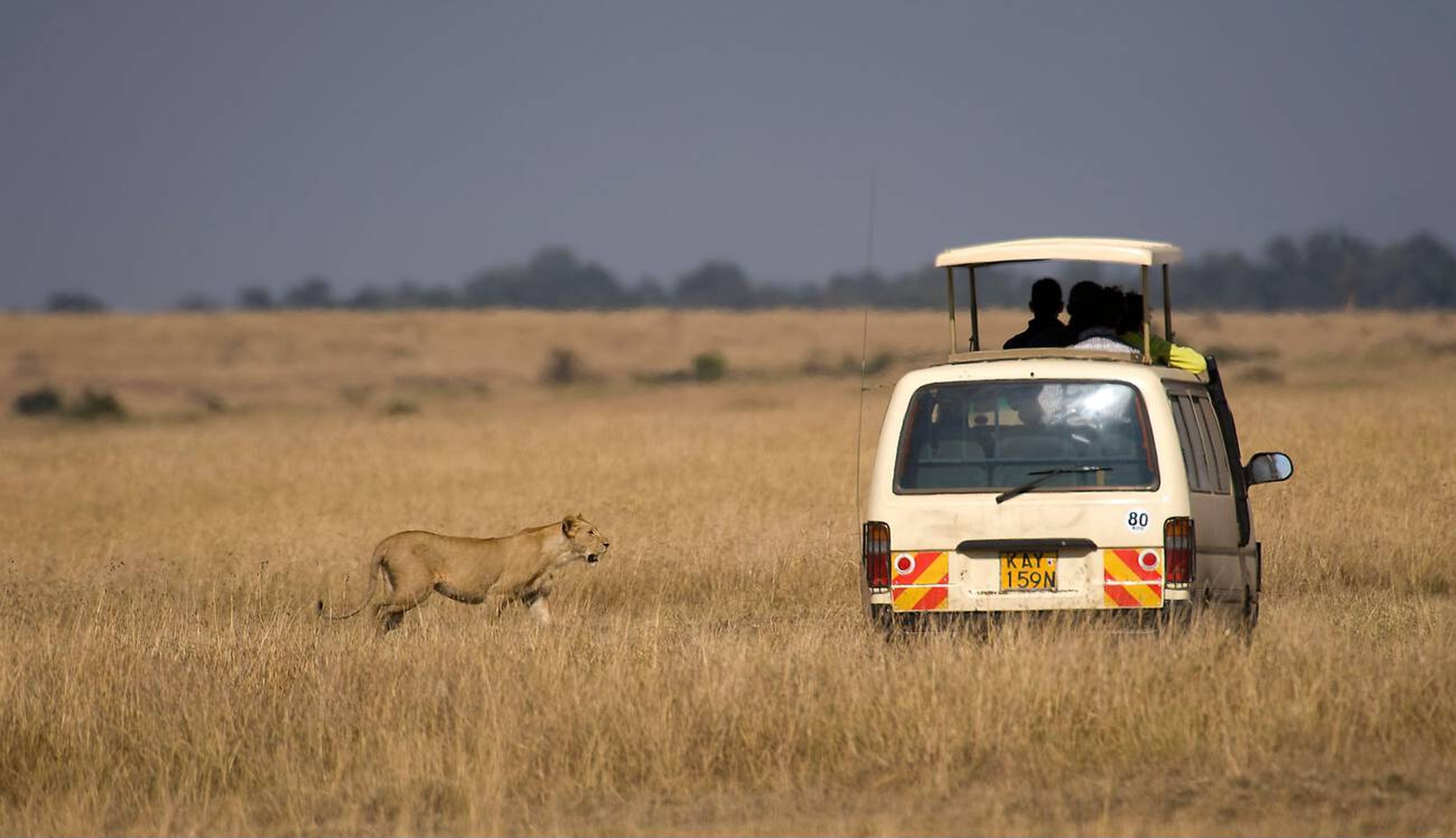 Game Drives
